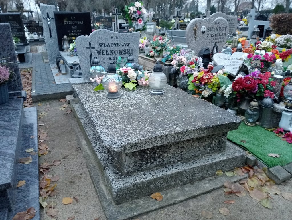 Grób Władysław Wełnowski